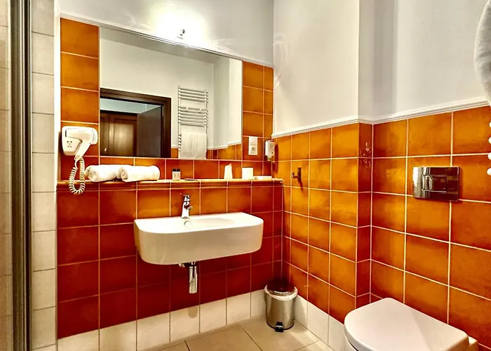 Hotel Sloneczny Mlyn 4*